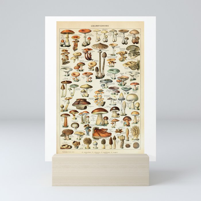 Mini Art Print