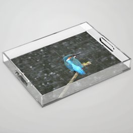 Kingfisher in the rain Acrylic Tray
