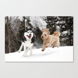 Enjoy the snow Canvas Print