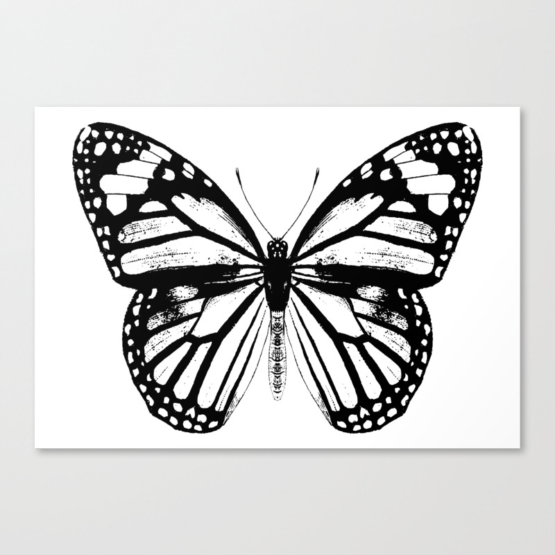Monarch Butterfly Vintage Butterfly Black And White Canvas Print By Eclecticatheart Society6