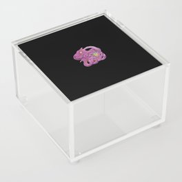 Octopus with Rubik's Cube Acrylic Box