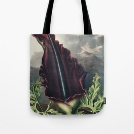 The Dragon Arum from The Temple of Flora (1807) by Robert John Thornton. Tote Bag