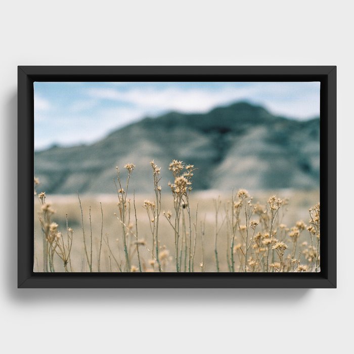 35mm-Toadstool Geological Park-Nebraska Framed Canvas