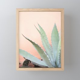 Agave Potatorum Framed Mini Art Print