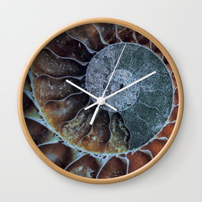 Spiral Ammonite Fossil Wall Clock