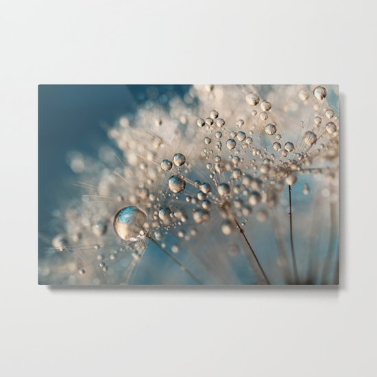Denim Dandy Dazzle Metal Print