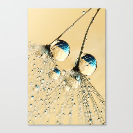 Duo Shower Dandy Drops Canvas Print