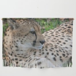 cheetah resting Wall Hanging