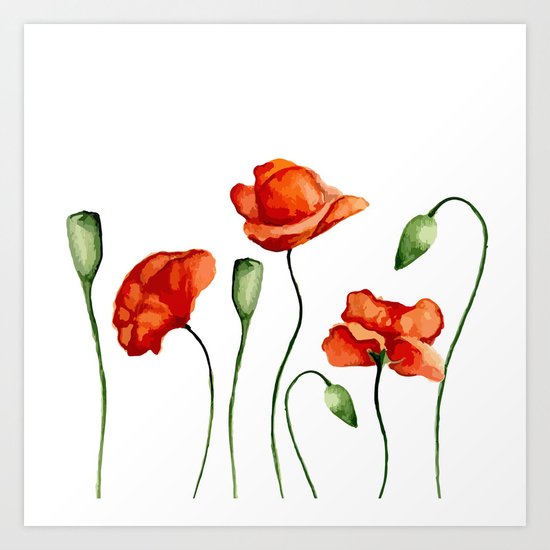 Poppies Art Print