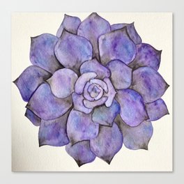 Purple Succulent Canvas Print