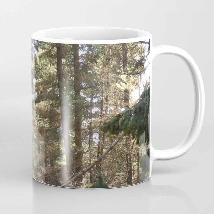 Scottish Highlands Sun Kissed Nature Path Coffee Mug