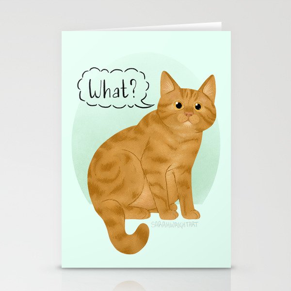 The kitty cat store sales