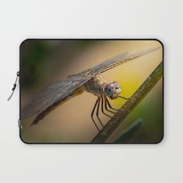 Perched Dragonfly Laptop Sleeve
