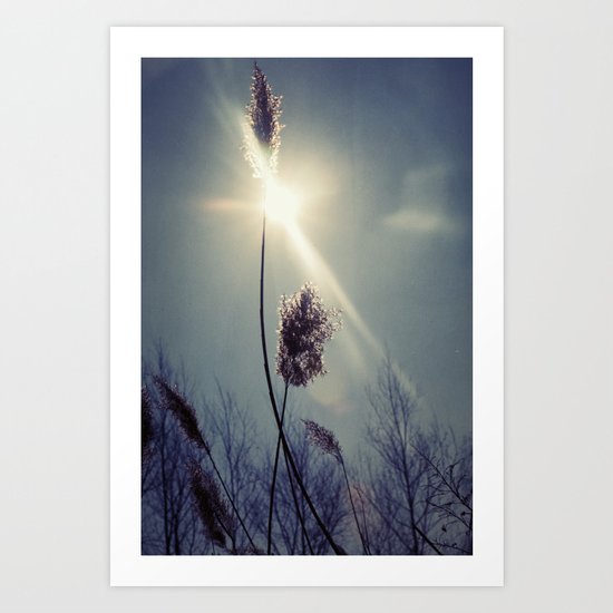 Blue light Art Print
