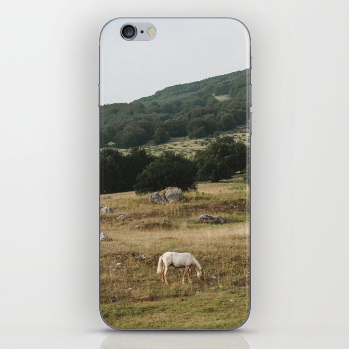 Horse | Nature and Landscape Photography iPhone Skin