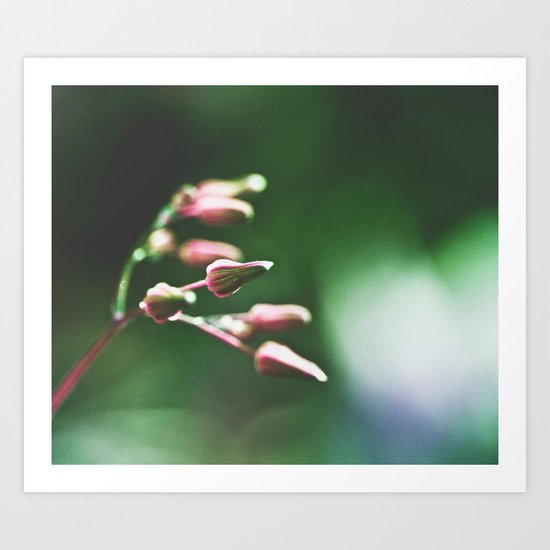 Great Expectations Art Print
