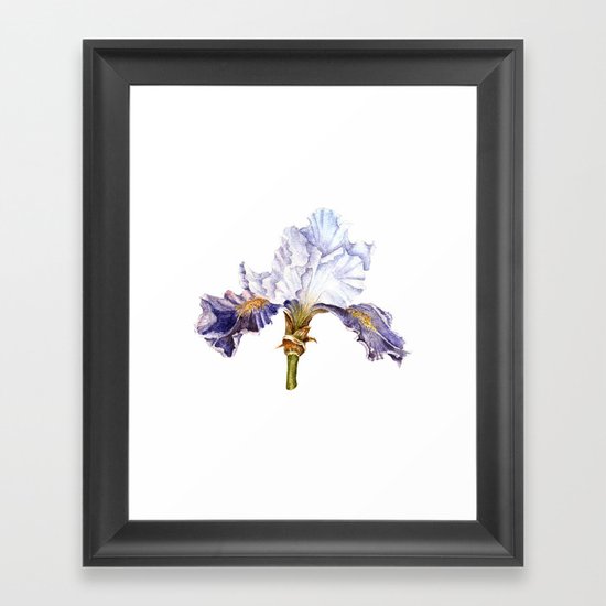 Purple Iris Framed Art Print