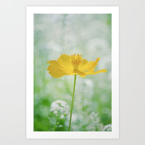 Yellow Bloom Art Print