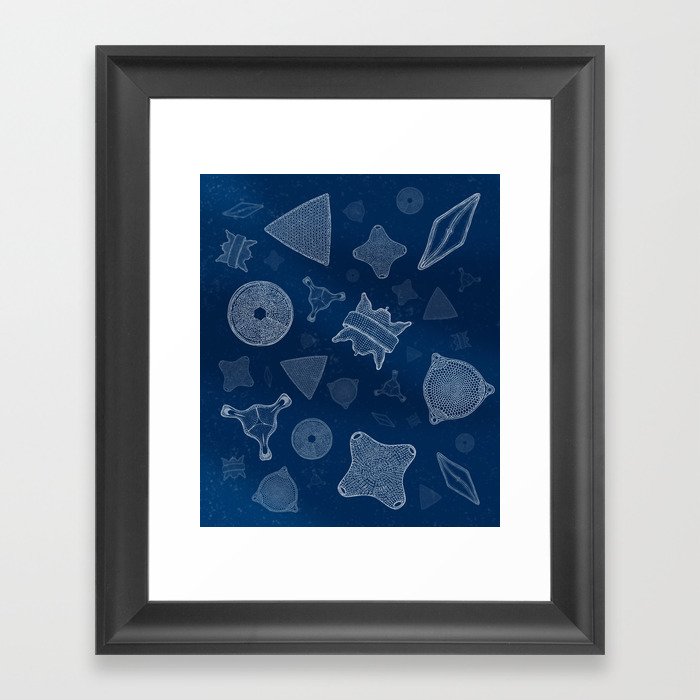 Diatoms - microscopic sea life Framed Art Print