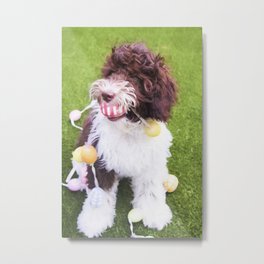 Labradoodle Easter Egg Hunt Metal Print | Designerbreed, Eastereggs, Funnydog, Labradoodle, Happyeaster, Holiday, Photo, Pet, Green, Colorful 