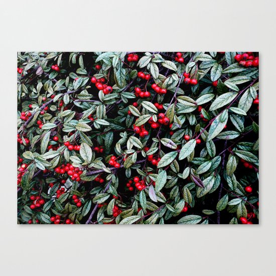 Nature's Pattern Canvas Print