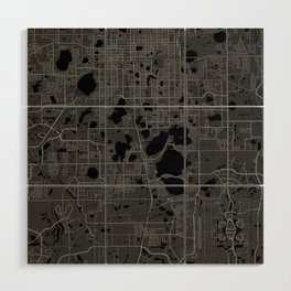 Orlando Road Map Wood Wall Art