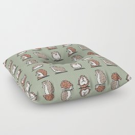 Hedgehog Yoga Floor Pillow