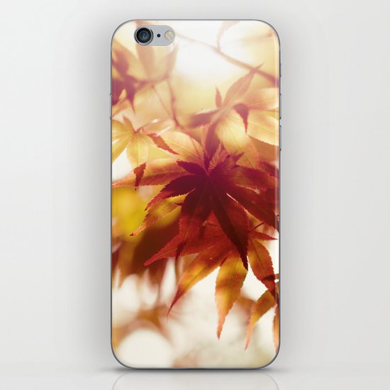 Autumn light iPhone & iPod Skin