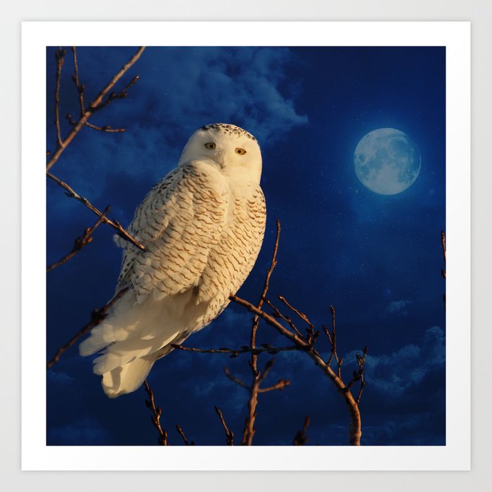 The owl and mystical moon Art Print