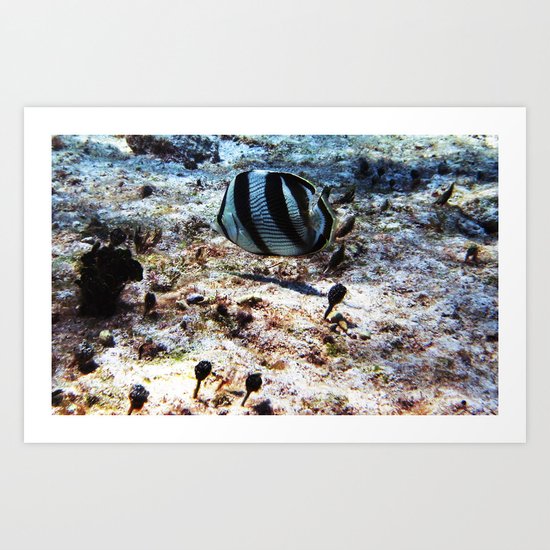 Butterfly fish Art Print