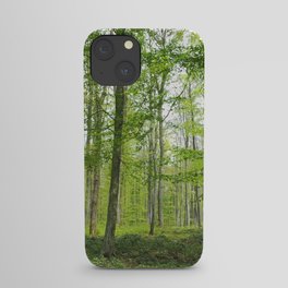 Beech Forest Panorama iPhone Case