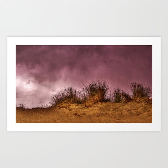 Marram grass Art Print