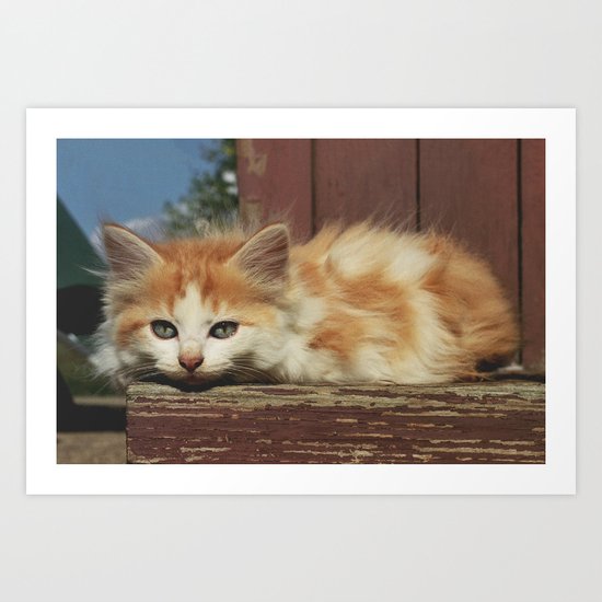 6 Art Print