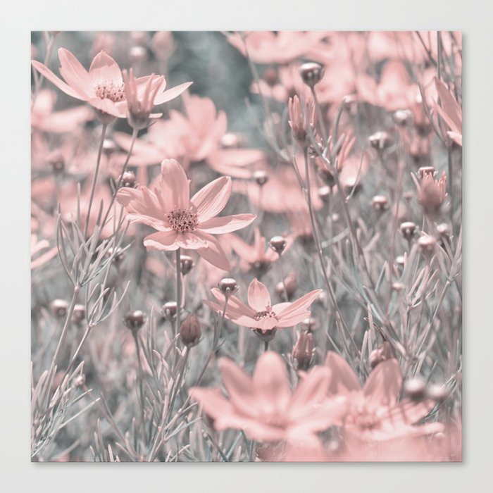 Pink Flowers 0212 Canvas Print