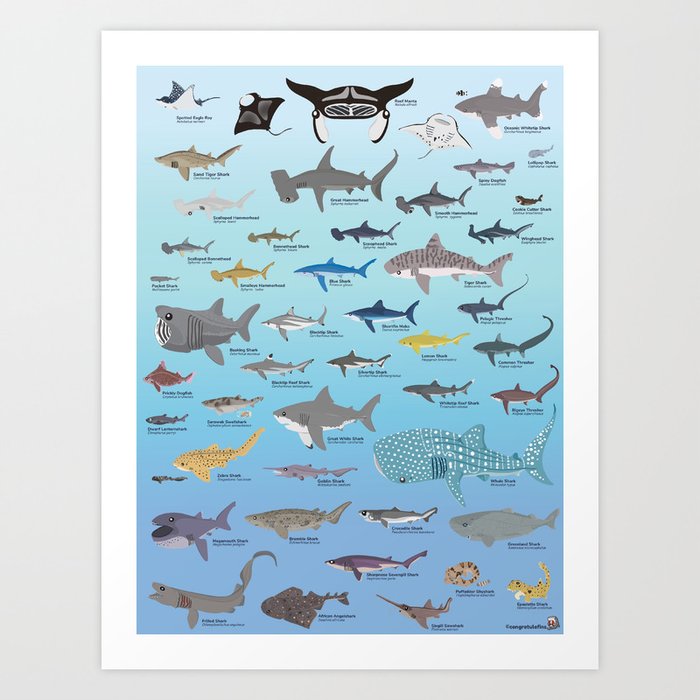 Sharks and more sharks Art Print