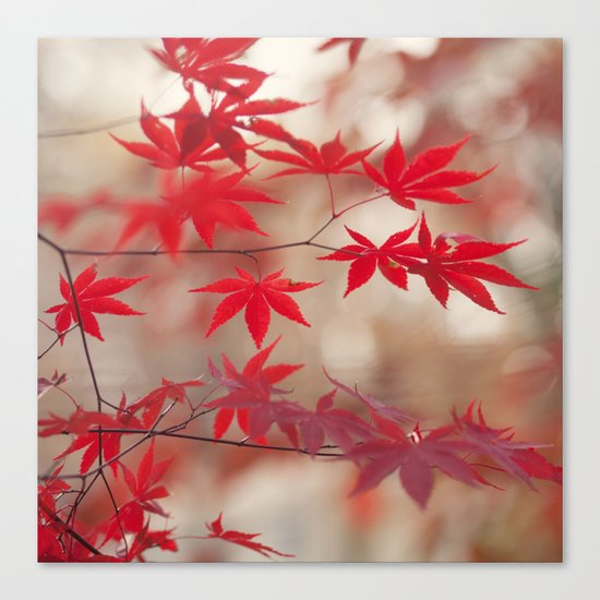 Cream and Red Canvas Print