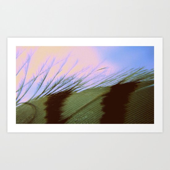 Keep Your Feathers Together Art Print