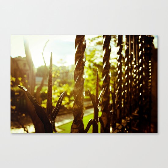 Untitled Canvas Print