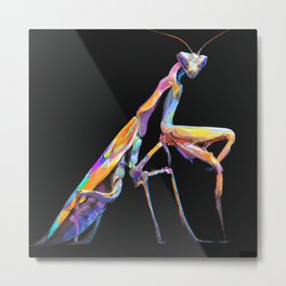 Stick Insect, in Rainbow Color Metal Print | Stick Bugs, Stickinsect, Wallart, Phasmida, Interiordecoration, Stickanimals, Acid, Drawing, Walkingsticks, Shitsunaiartmural 