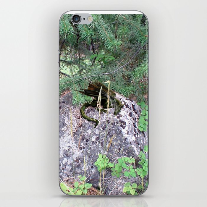 Caught Napping iPhone Skin
