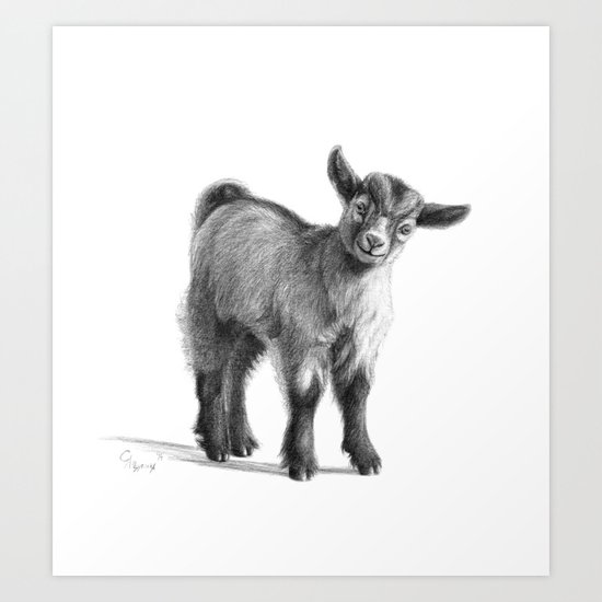 Goat baby G097 Art Print