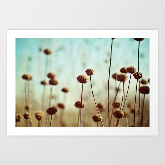 field of dreams Art Print