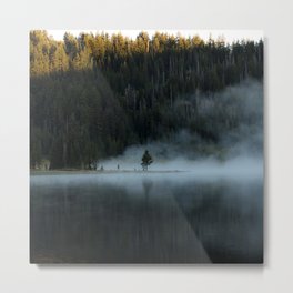 Tree in Mist Metal Print