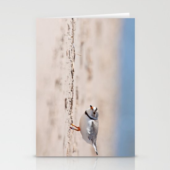 Great Lakes Piping Plover Stationery Cards