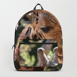 Baringo Giraffe Backpack | Safari, Animal, Africa, Kenya, Wildlife, Santabarbara, Zoo, Savanna, Herbivore, Nature 