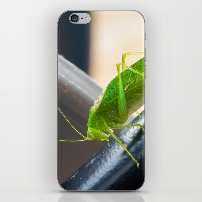 Katydid (Tettigoniidae) iPhone Skin