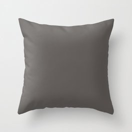 Storm Cloud Gray Throw Pillow