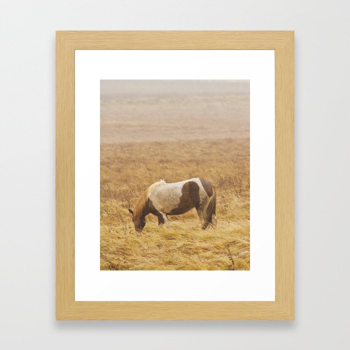 Runaway Framed Art Print | Photography, Digital, Photography, Icelandic-horse, Iceland, Plains