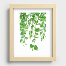 Golden Pothos Ivy Dream #1 #tropical #wall #art #society6 Recessed Framed Print