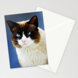 Blue eyed cat portrait | Pretty kitty in Capri, Italy | Mediterranean eyes fluffy cat Stationery Card